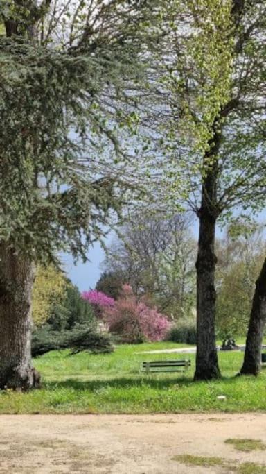Pavillon Des Ecureuils Au Chateau Royal De Benays Benais Екстер'єр фото