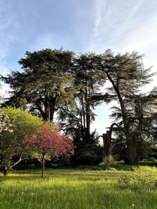 Pavillon Des Ecureuils Au Chateau Royal De Benays Benais Екстер'єр фото